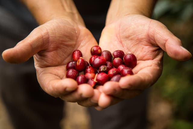 Exportaciones regionales crecen 36,5% en inicio de 2026