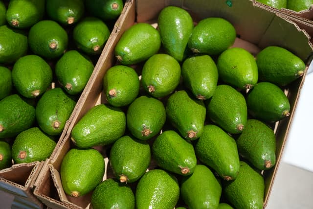 Exportaciones de regiones del Perú alcanzaron los US$ 23 511 millones durante el primer trimestre del 2026