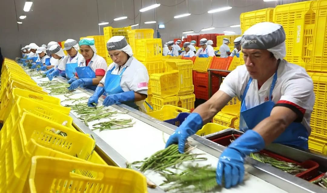 CCL: cerca de 3,8 millones de peruanos tienen un segundo trabajo